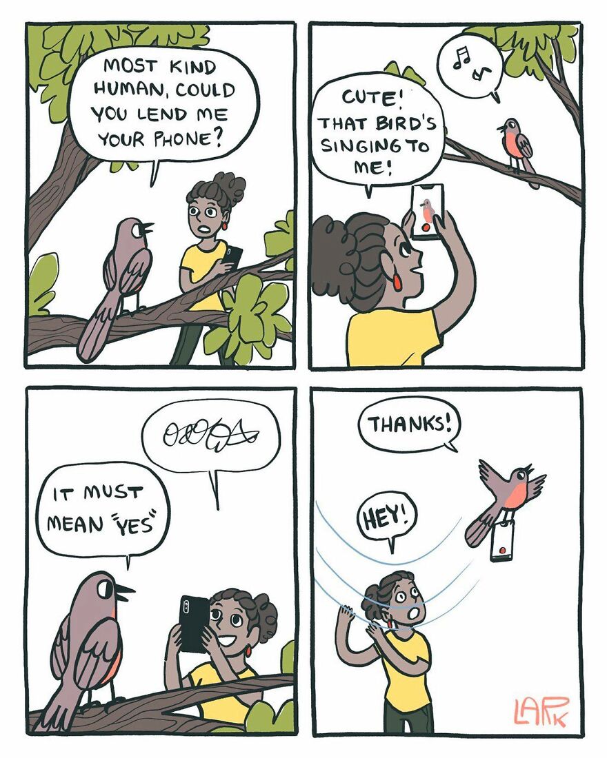 Bird thief