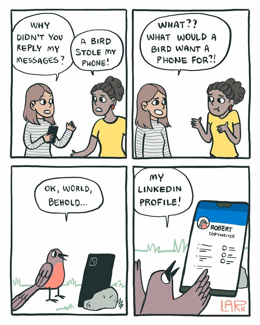 Bird thief 
