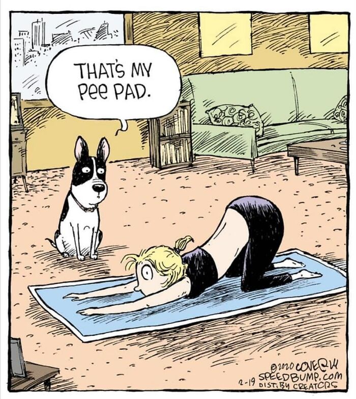 One-Panel Comic About Yoga Mat By Dave Coverly
