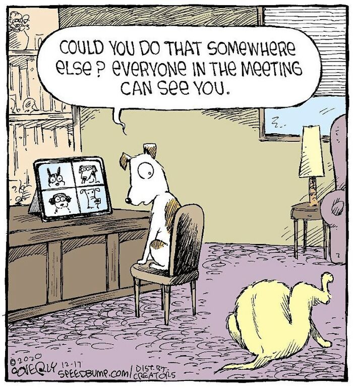 One-Panel Comic About A Dogs' Meeting By Dave Coverly
