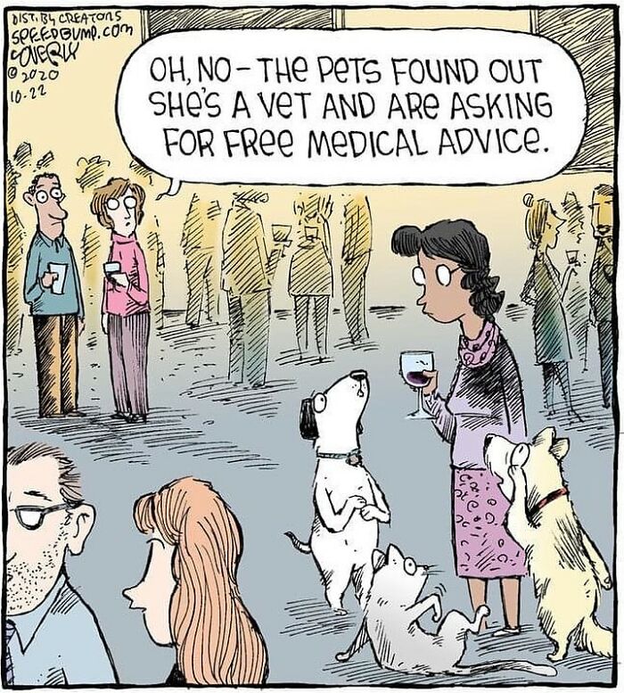 One-Panel Comic About A Vet By Dave Coverly