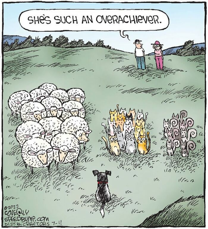 One-Panel Comic About An Overachiever Dog By Dave Coverly