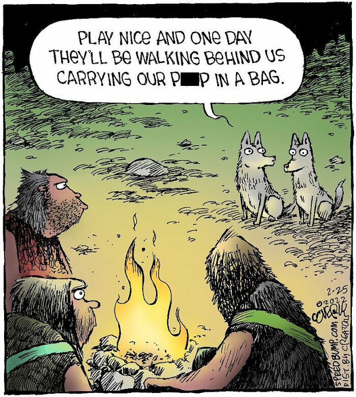 One-Panel Comic About Wolves Playing Nice By Dave Coverly