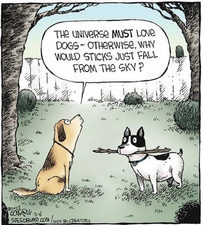 One-Panel Comic About Universe Loving Dogs By Dave Coverly