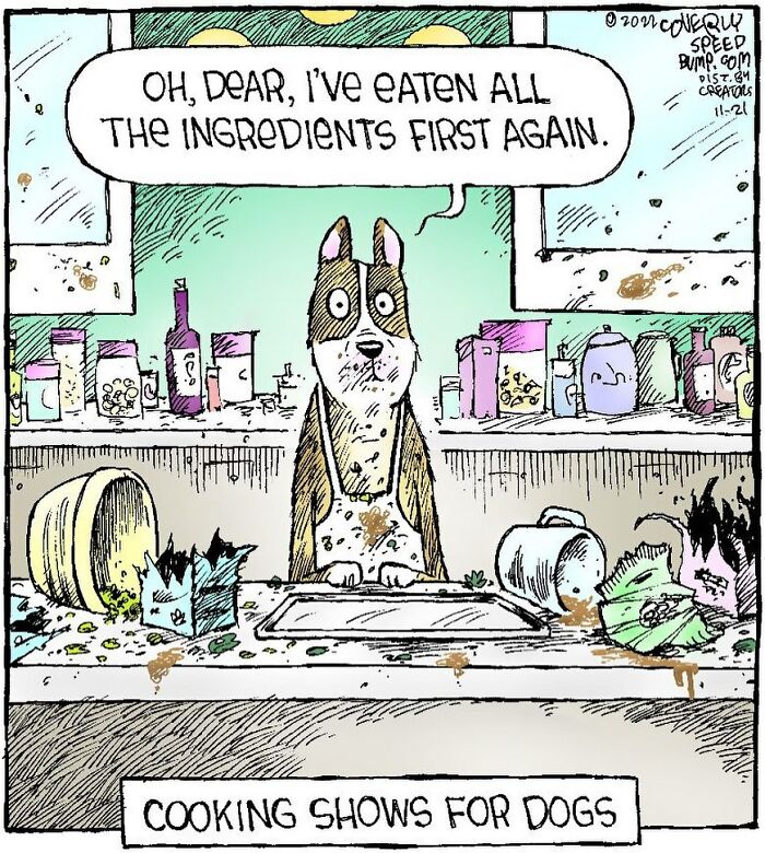 One-Panel Comic About Dog Eating All The Ingredients By Dave Coverly