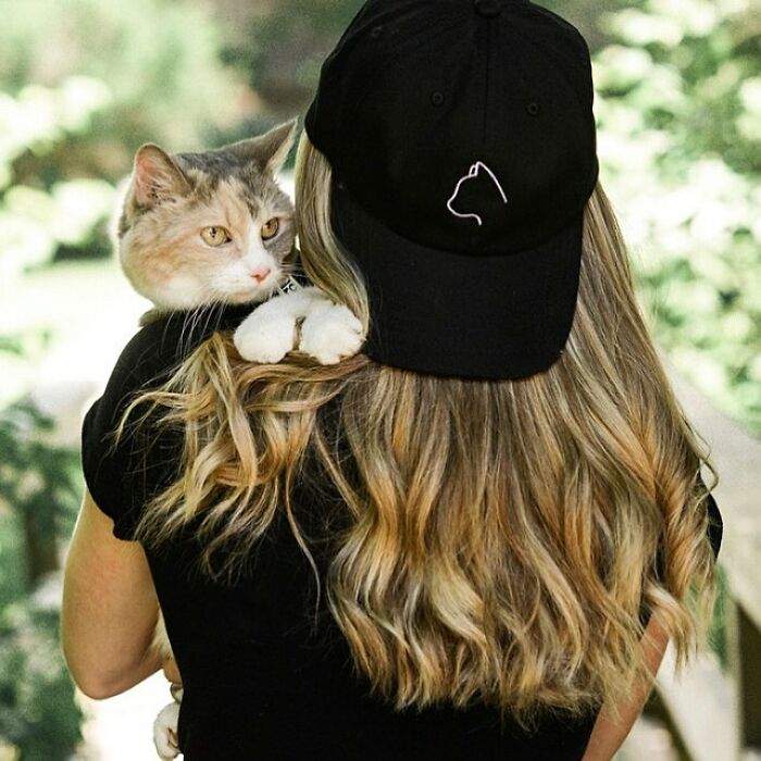 Angela Rafuse Is A Founder Of ‘My Grandfather’s Cat Charity’, Helping Seniors To Rehome Their Pets