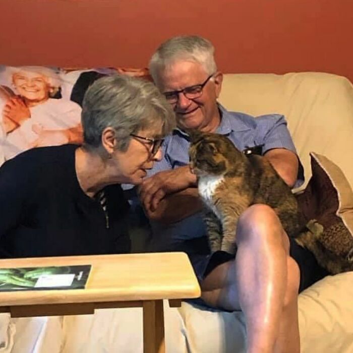 Angela Rafuse Is A Founder Of ‘My Grandfather’s Cat Charity’, Helping Seniors To Rehome Their Pets