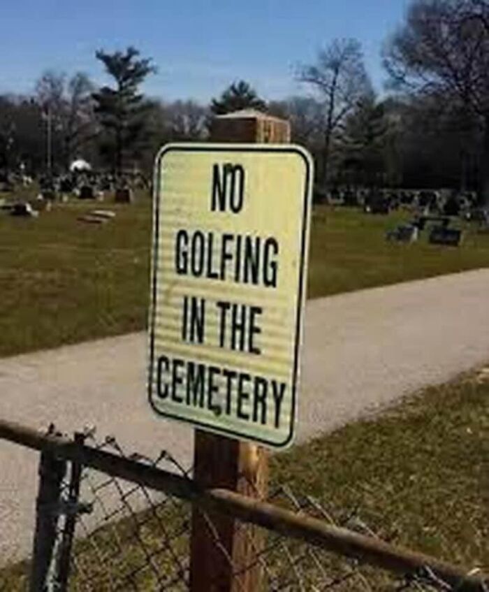 Absurd-Funny-Signs