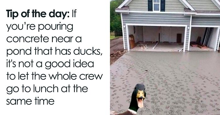 50 Chucklesome Memes That Make The Perfect Blend Of Animals And Comedy