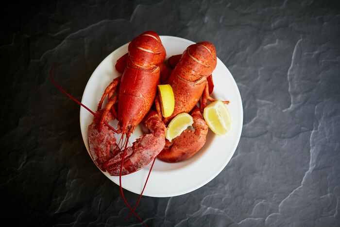 Lobsters in plate