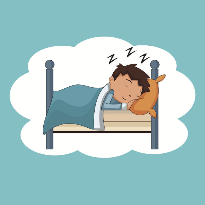 1. We Spend About One-Third Of Our Lives Asleep. The Average Adult Needs Around 7-8 Hours Of Sleep Per Night