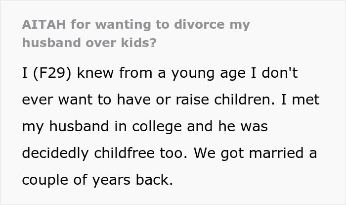 Sister Ditches Her Kids With A Childfree Brother And His Wife, Woman Asks For A Divorce