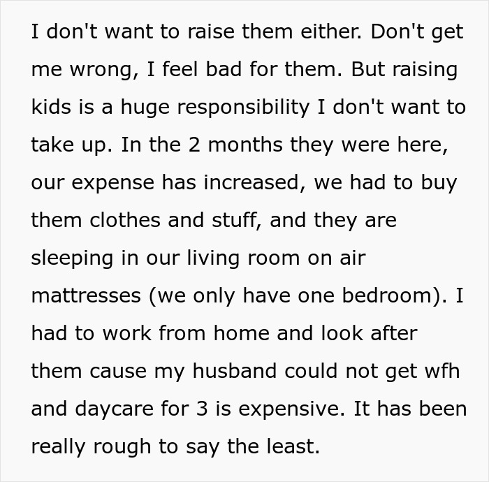 Sister Ditches Her Kids With A Childfree Brother And His Wife, Woman Asks For A Divorce Sister Ditches Her Kids With A Childfree Brother And His Wife, Woman Asks For A Divorce