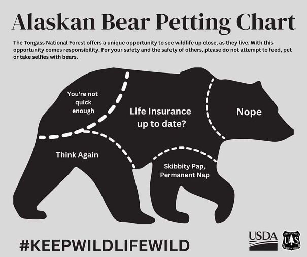 bear-petting-chart-6518f3ea4b5d0.jpg