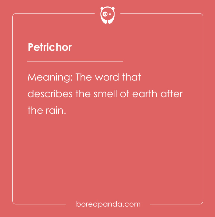 150 Euphonious Beautiful Words To Add To Your Dictionary