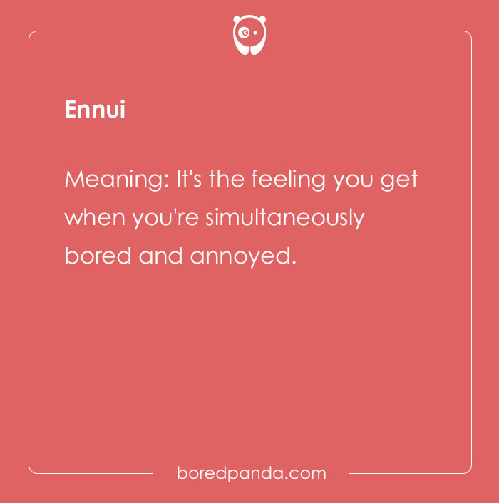 A Comprehensive List Of Big Words To Sound Smart