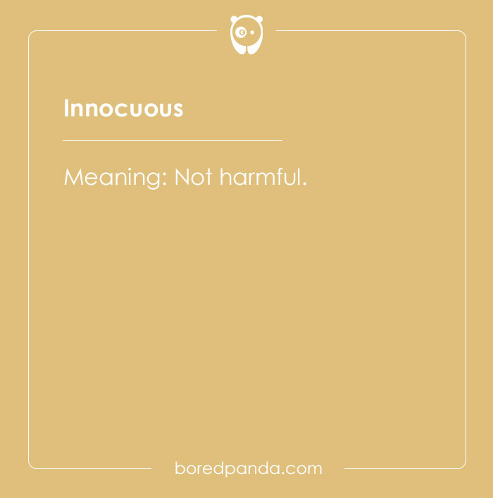 A Comprehensive List Of Big Words To Sound Smart