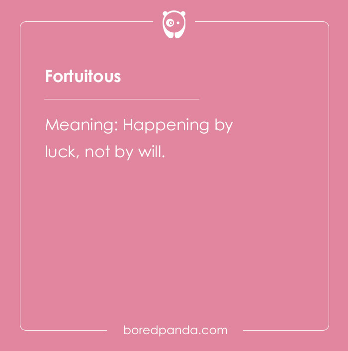 A Comprehensive List Of Big Words To Sound Smart