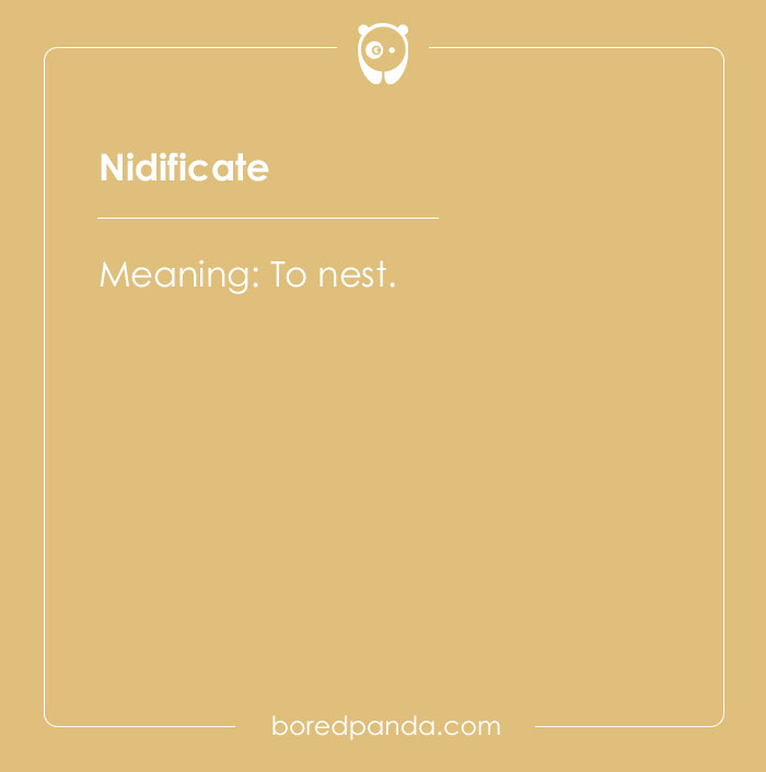 A Comprehensive List Of Big Words To Sound Smart