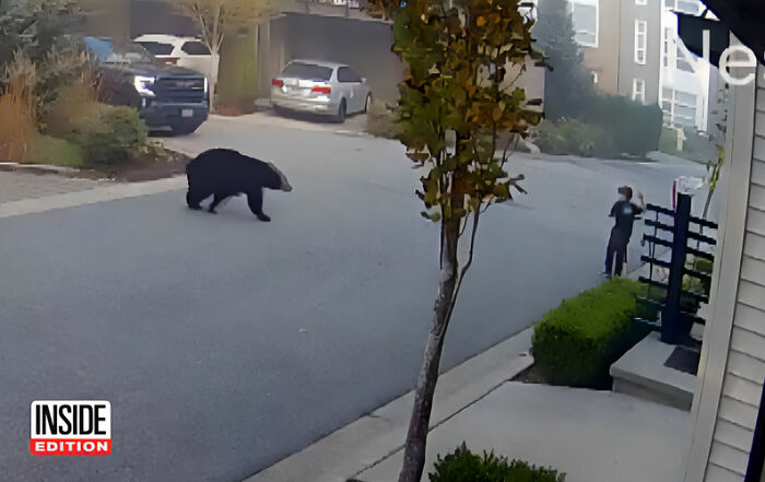 7-Year-Old Boy Goes Face-To-Face With A Bear, Gets Saved By A Brave Neighbor