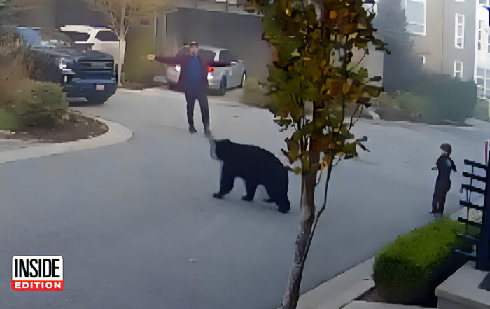 7-Year-Old Boy Goes Face-To-Face With A Bear, Gets Saved By A Brave Neighbor 7-Year-Old Boy Goes Face-To-Face With A Bear, Gets Saved By A Brave Neighbor