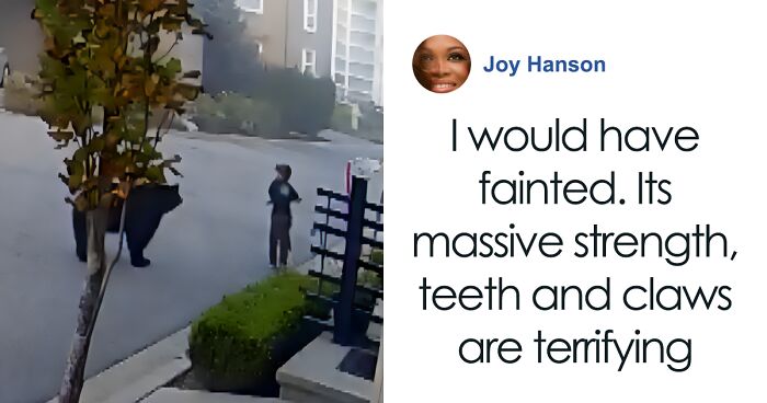 7-Year-Old Boy Goes Face-To-Face With A Bear, Gets Saved By A Brave Neighbor