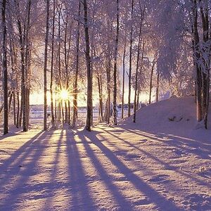 springcraterwood avatar