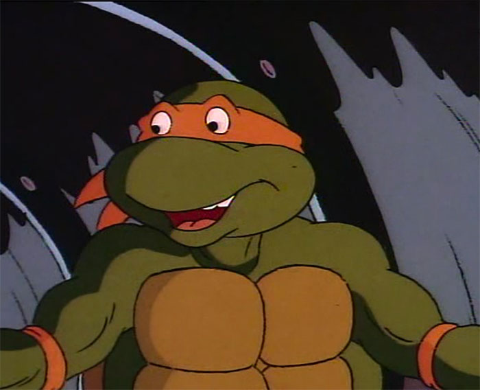 Turtle in a dark room 