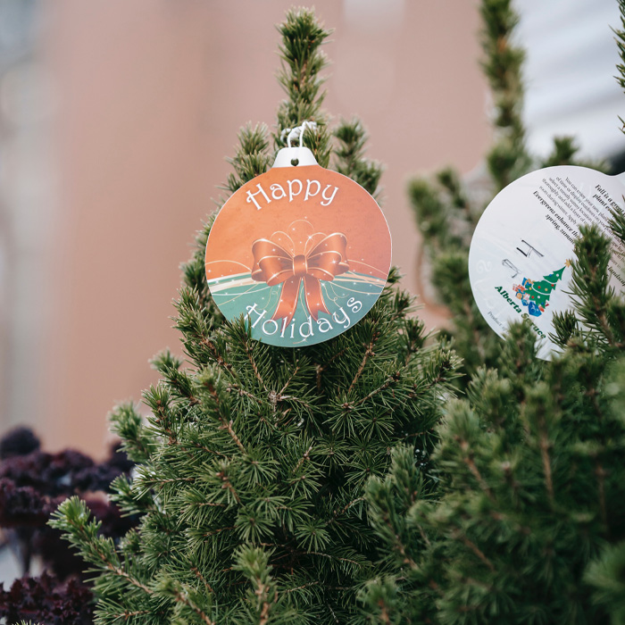 Christmas tree with the card that says "Happy Holidays"