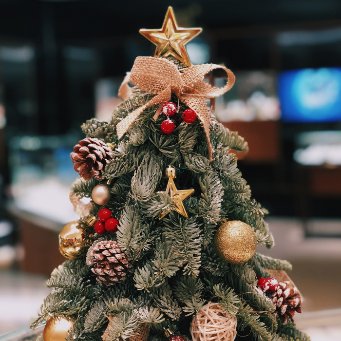 Decorated Christmas tree with a star and a bow as a toping 