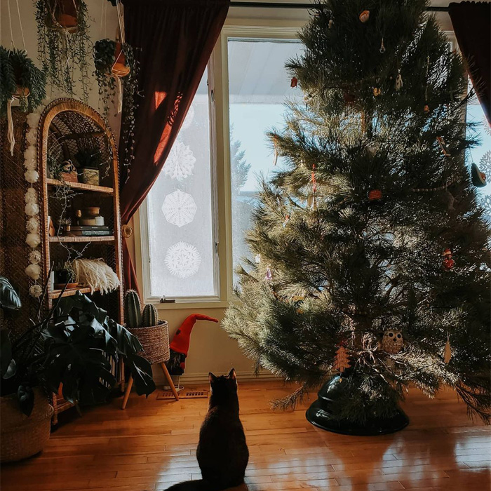 A black cat standing near decorated Pine Christmas tree 
