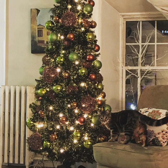 Earthy Christmas tree next to a cat 