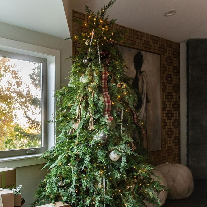Decorated Cedar Christmas tree next to a window 