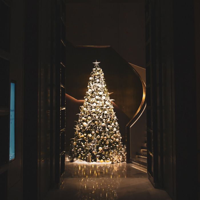 Lighted Christmas tree in the hall 