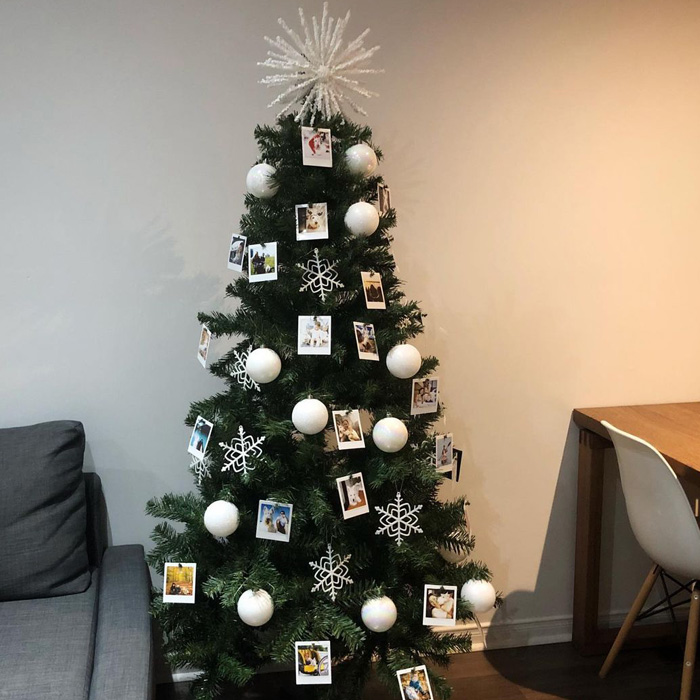 Christmas tree decorated by the polaroid photos 