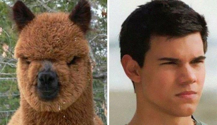 “I’m Going To Hell For This”: 30 Hilariously Unexpected Celebrity Lookalikes Shared On This Thread