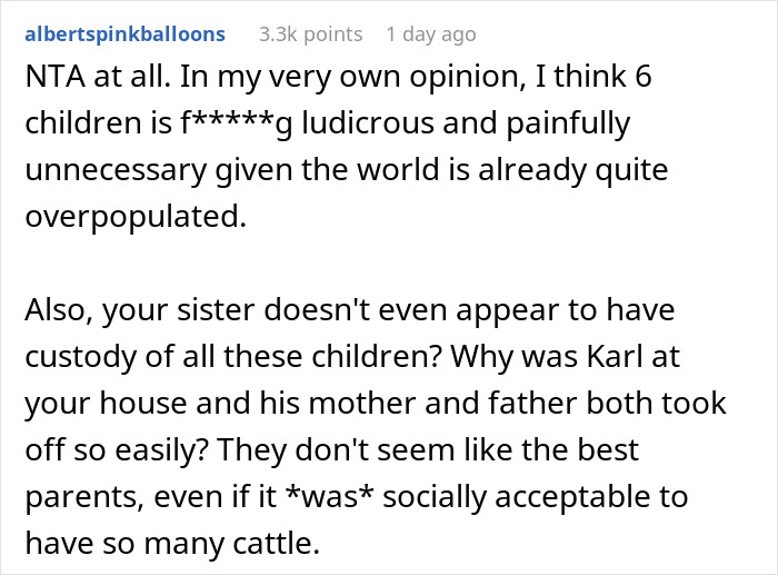Reddit comment criticizing older sister for having seven children, discussing family and custody concerns. Reddit comment criticizing older sister for having seven children, discussing family and custody concerns.
