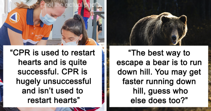 Getting the Facts Straight: 33 Common Beliefs That Are Actually Untrue