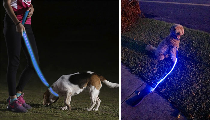 Illumiseen LED Light Up Dog Leash: The ultimate safety solution for nighttime walks, providing 360-degree visibility up to 350 yards, keeping your beloved pup safe and visible while adding a stylish touch to your pet accessories collection.