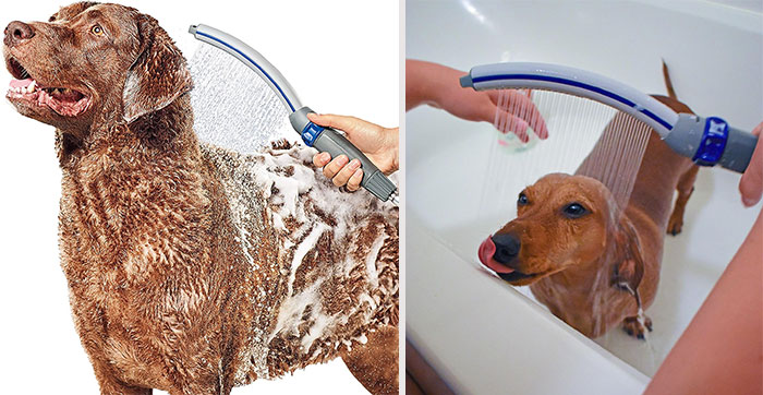 Waterpik Dog Shower Attachment: Bathe your dog easily and efficiently with full coverage and one-handed operation, making bath time a breeze for you and your pup.
