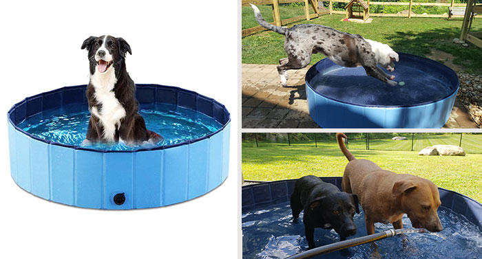 Jasonwell Foldable Dog Pool: The must-have product for every dog owner, allowing your furry friend to cool down and have fun anywhere, anytime.