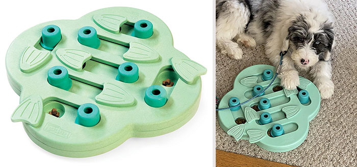 Outward Hound Interactive Treat Puzzle Dog Toy: Durable and safe toy designed to reduce destructive behavior and boredom while ensuring they work for their tasty reward.