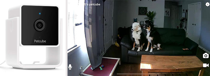 Petcube Pack Of 2 Pet Indoor Cameras: Ensuring you never miss a moment with your pup and offering an AI-powered real-time alert system – a game-changing item that every pet parent should own for ultimate peace of mind.