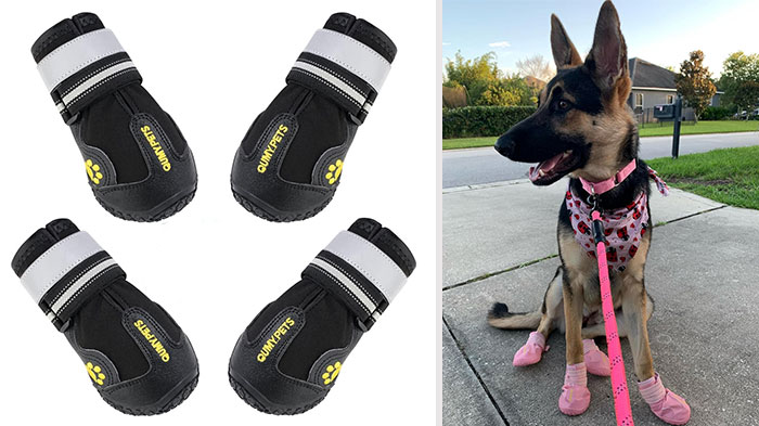 Qumy Dog Shoes: Rugged and stylish protection for your pup's paws, ensuring comfort and safety on every adventure!