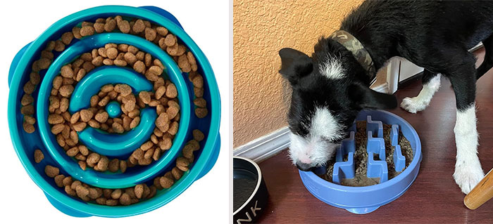Outward Hound Fun Feeder Slo Bowl: The perfect solution for fast-eating dogs, this slow feeder bowl helps promote proper digestion and reduces overeating behavior.