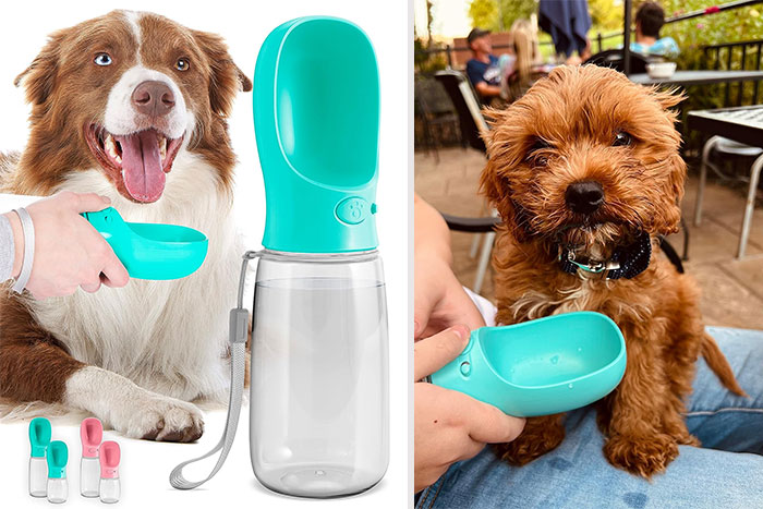 MalsiPree Dog Water Bottle: A portable, leak-proof and easy-to-use accessory that ensures your pup never goes thirsty during walks, hikes, or travels.