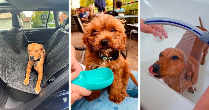25 Game-Changing Dog Products That Every Pup Parent Should Own