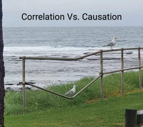 correlation-causation-65267305273e0.jpg
