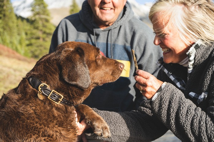 old couple playing with their best friend - dog