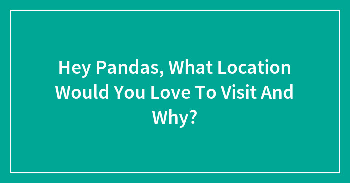Hey Pandas, What Location Would You Love To Visit And Why?